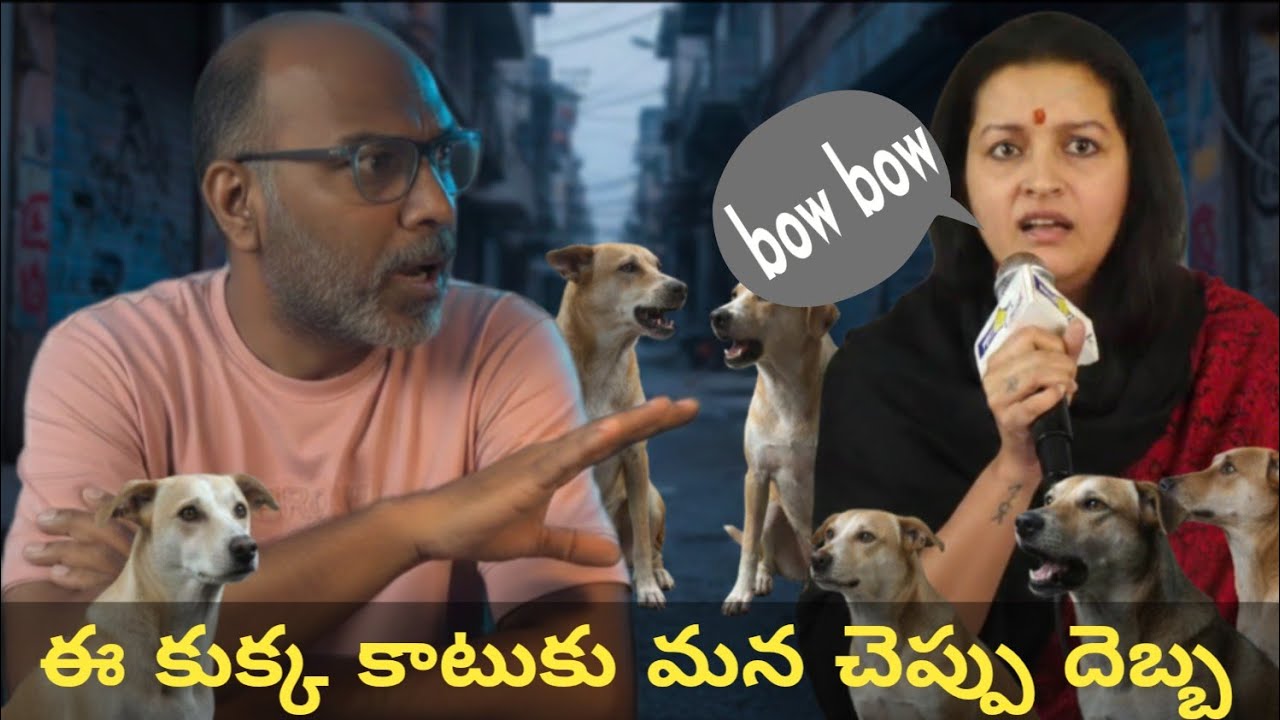 My opinion on Renu Desai press meet #life  #rashmigautam #telugunews #telugucinema #tollywoodupdates