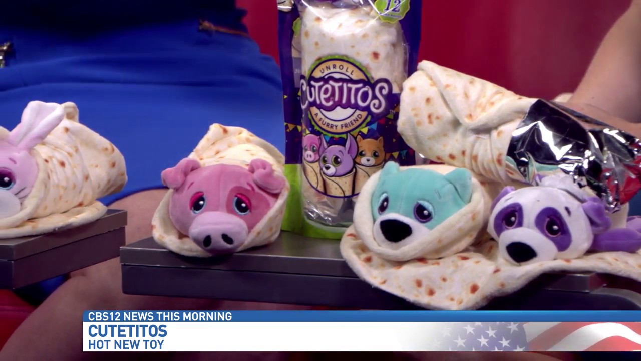 Cutetitos on CBS 12