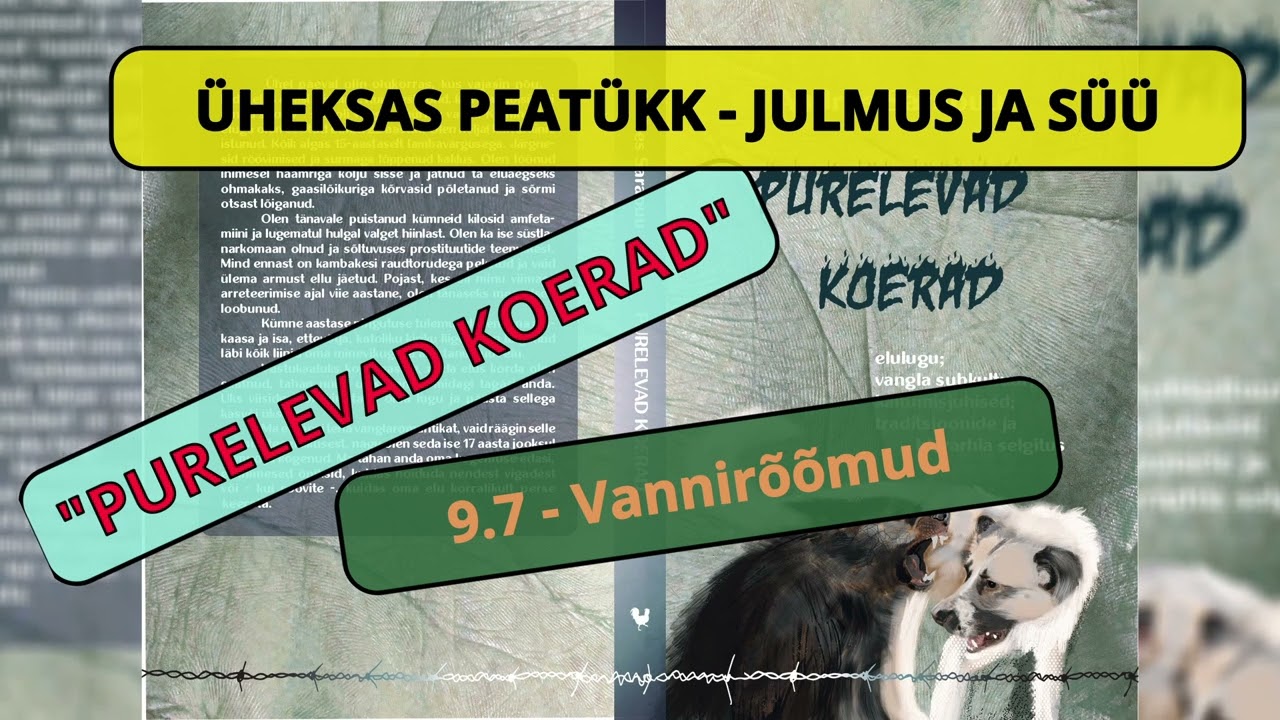 9.7 - Vannirõõmud - Audioraamat