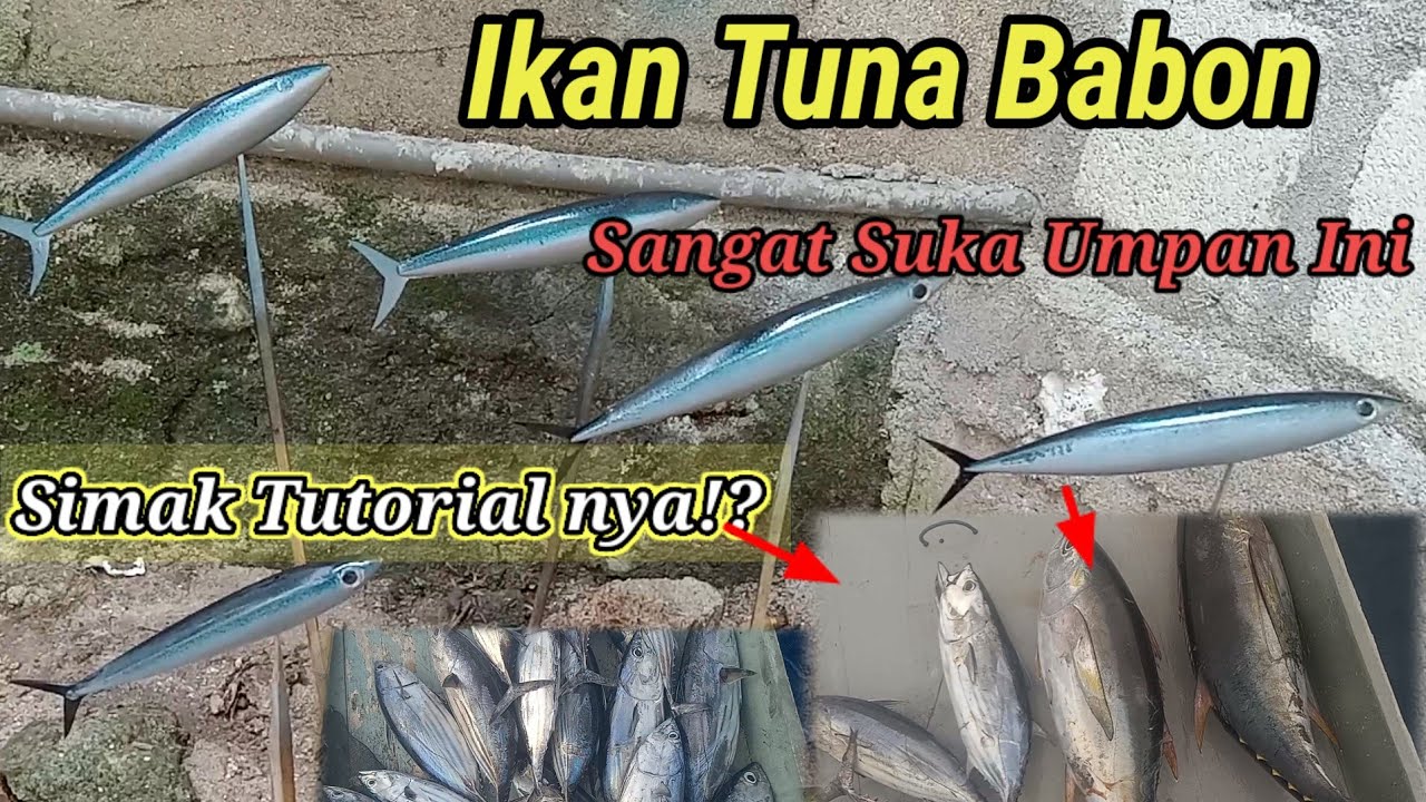 UMPAN ANDEMAN DAN TUTORIAL PEMBUATANNYA
