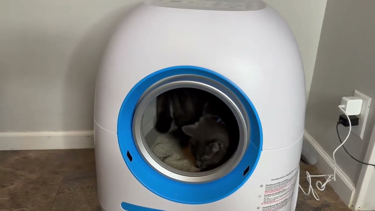 J JORBASADO Self Cleaning Cat Litter Box 65L Large Capacity Litter Box Automatic Review
