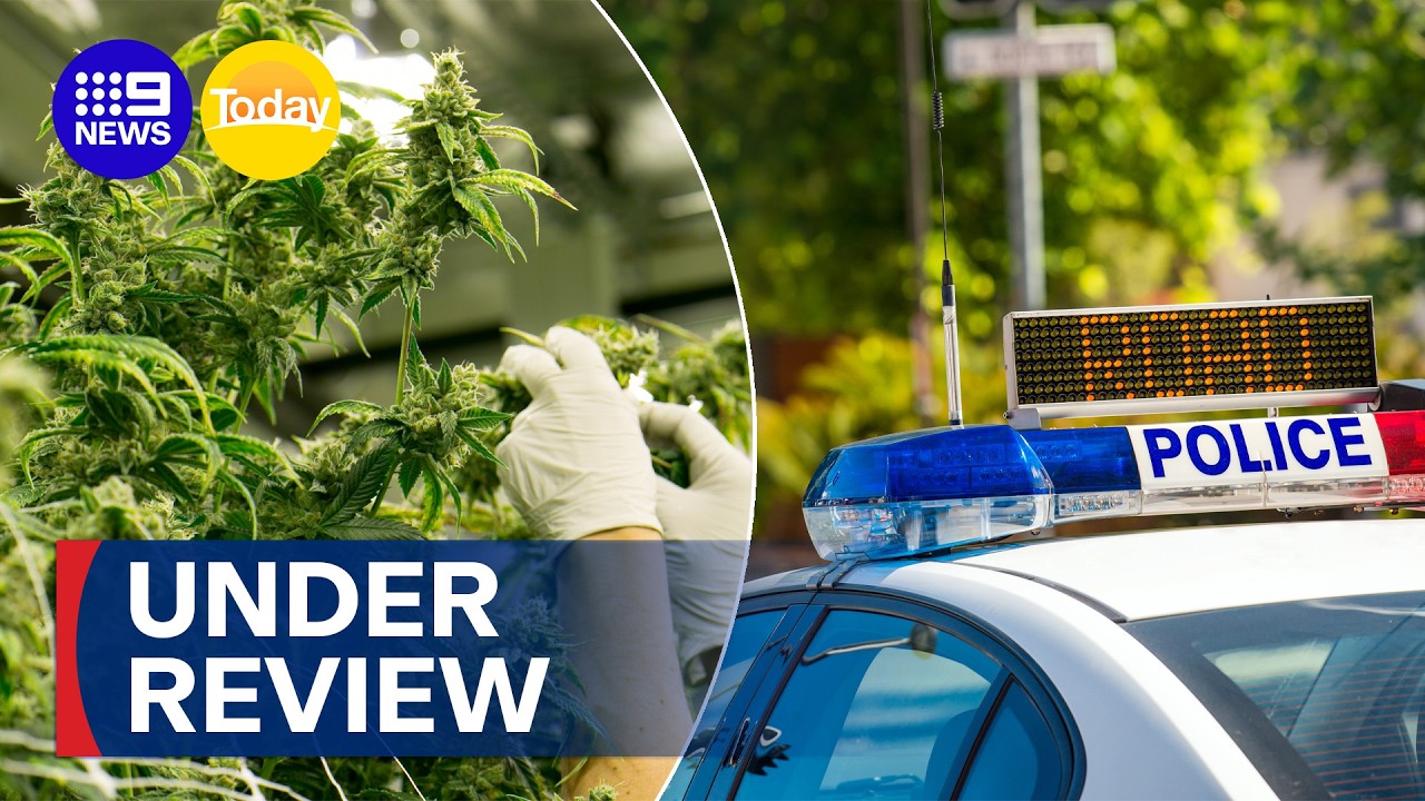 Queensland drug driving laws under review | 9 News Australia
