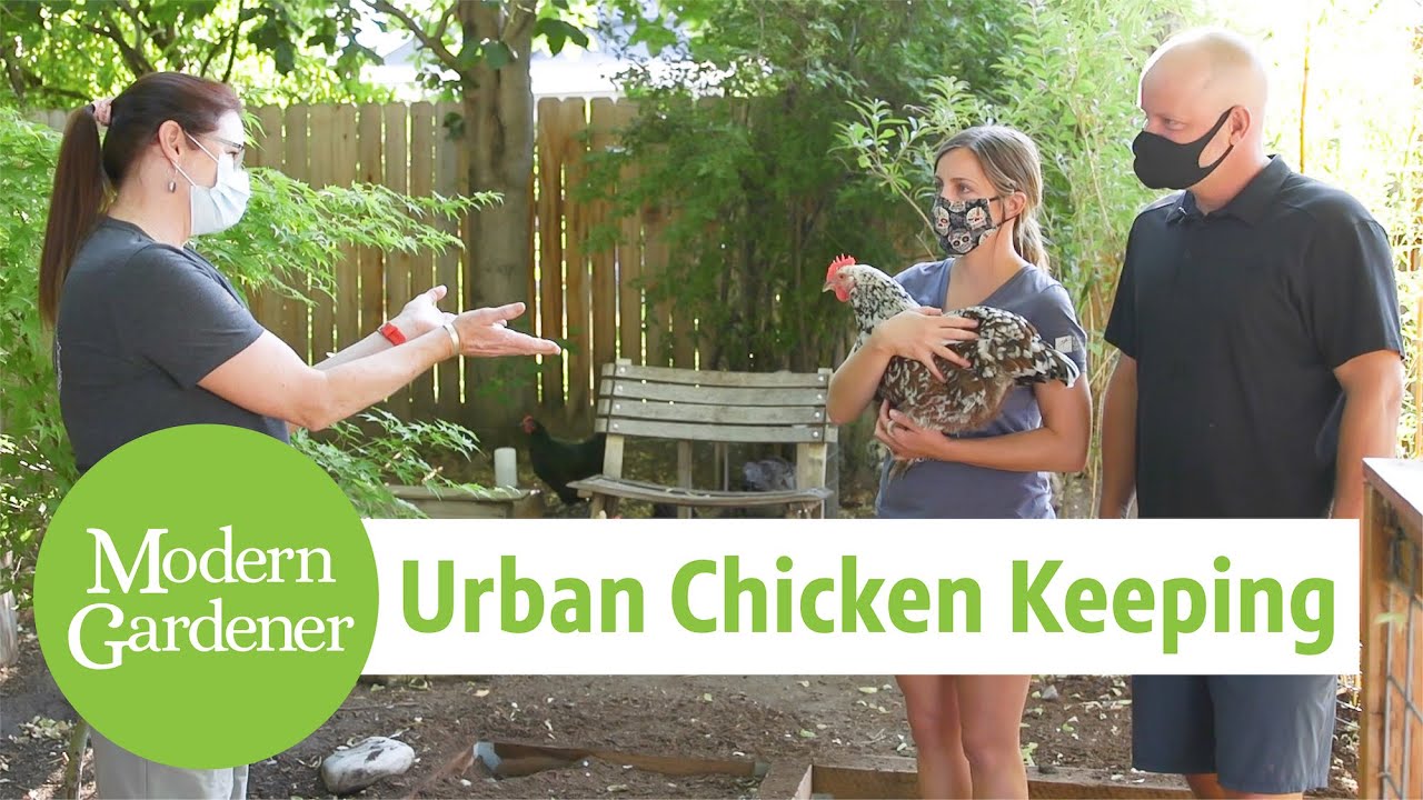 Urban Chicken Keeping in Sugarhouse | Urban Garden and Farm Tour with Wasatch Community Gardens