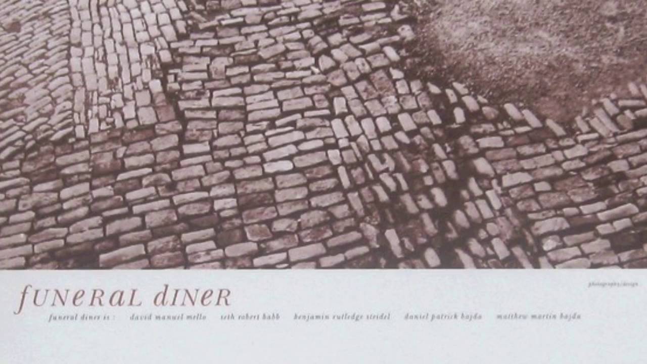 Welcome The Plague Year/Funeral Diner - Split 7