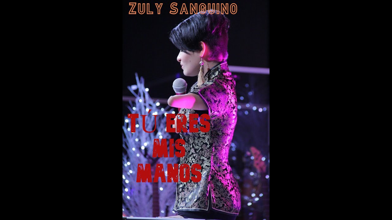 Tú eres mis manos- Zuly Sanguino