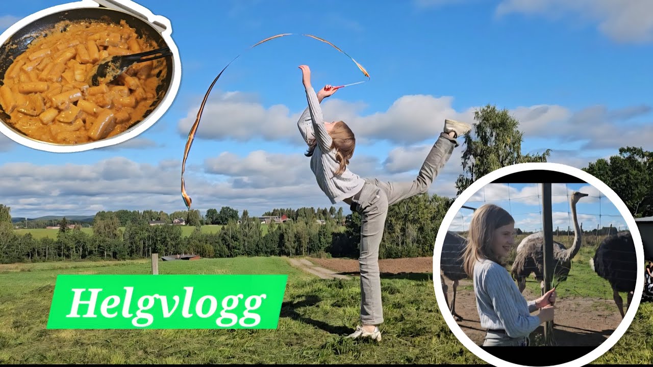 VLOGG Strutsar och koreansk matlagning 