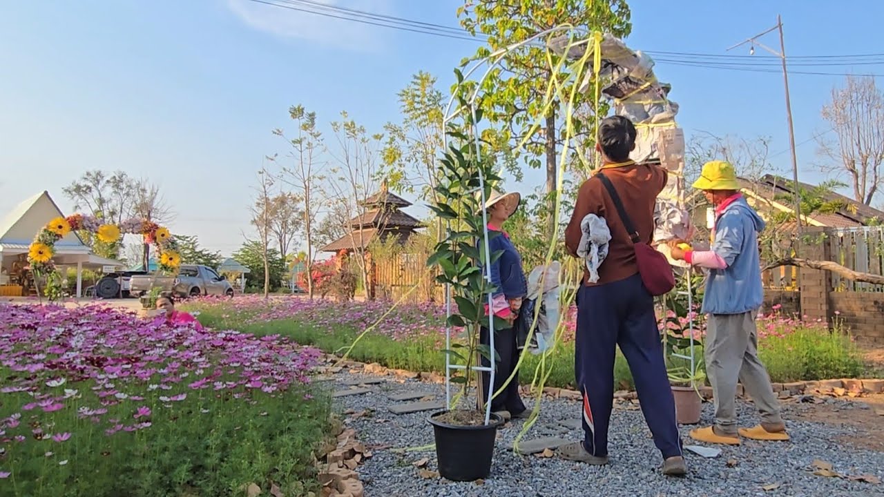 ป้าแต๋นสั่งอะไรมา?สุดเหลือเชื่อเปิดคลิปก็รู้ทันที ทั้งๆที่ไม่รู้มาก่อน