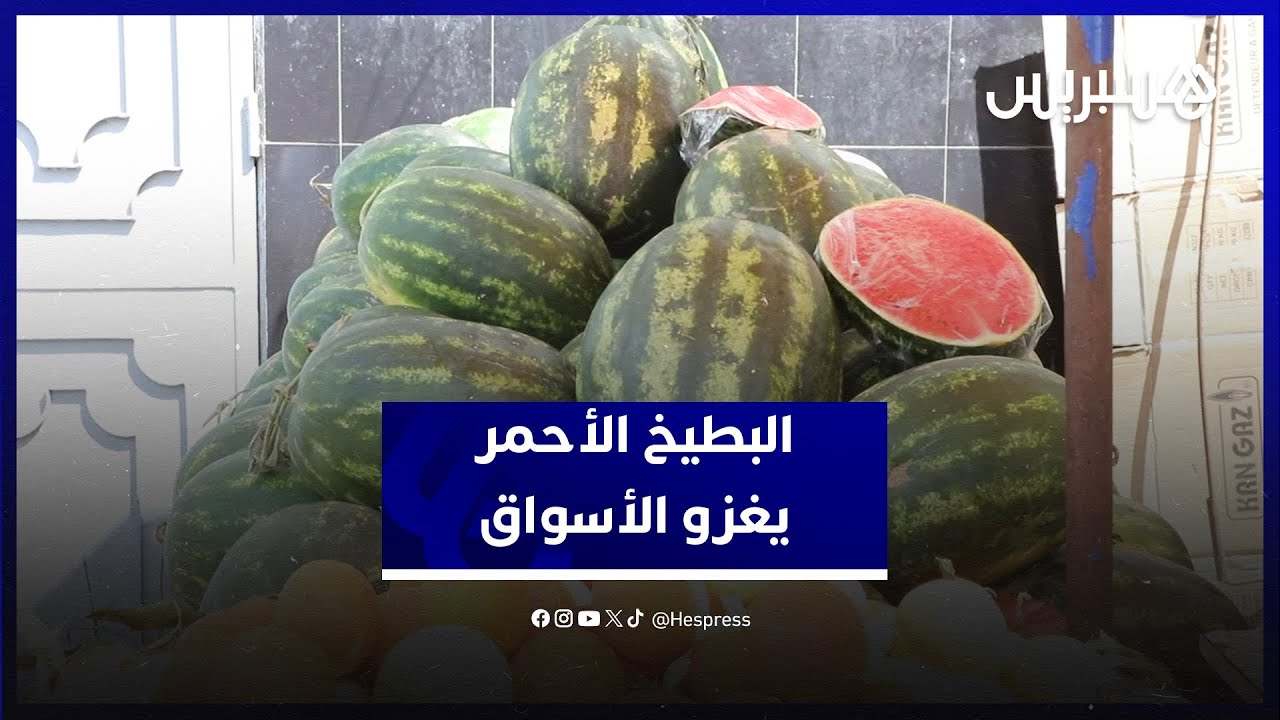البطيخ الأحمر يغزو الأسواق والتجار يتوقعون ارتفاع الأسعار بعد الأمطار الرعدية في زاكورة