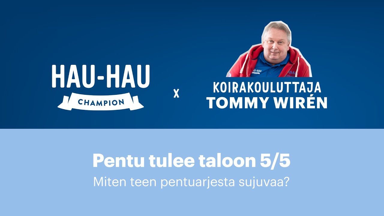 Pentu tulee taloon, jakso 5: Uusi arki koiranpennun kanssa