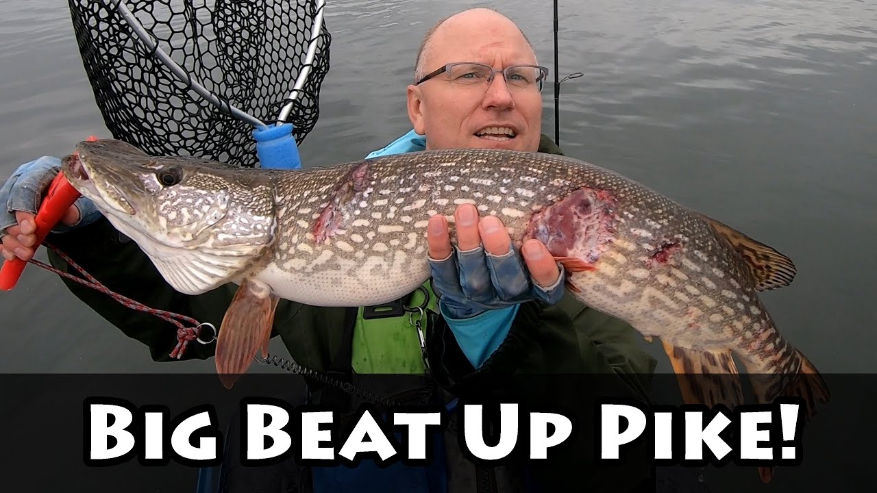 🚣‍♂️Testing a Telescopic Fishing Rod in the Rain! | Let's catch some Pike!