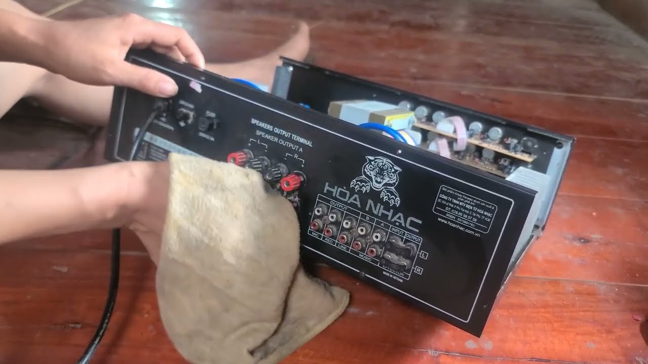 Genius girl: sells restored car, repairs complex amplifier circuit, renovates house.