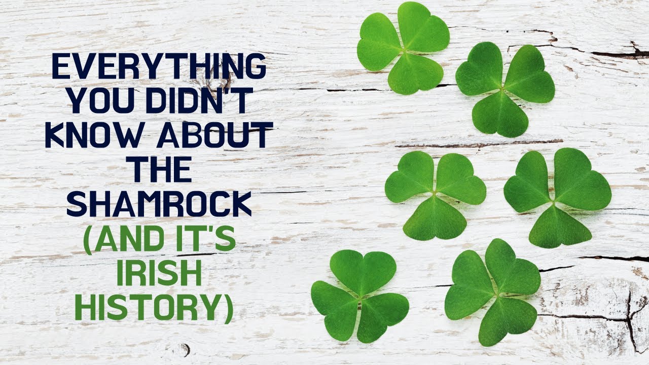 Everything you didn't know about the Shamrock ☘️