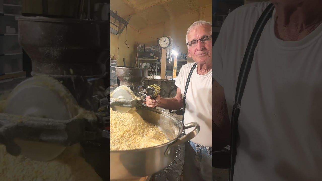 Lazy man&rsquo;s way of making CORNMEAL #shorts #short #cornmeal #food #foodsecurity @PawpawSammyAlyBug