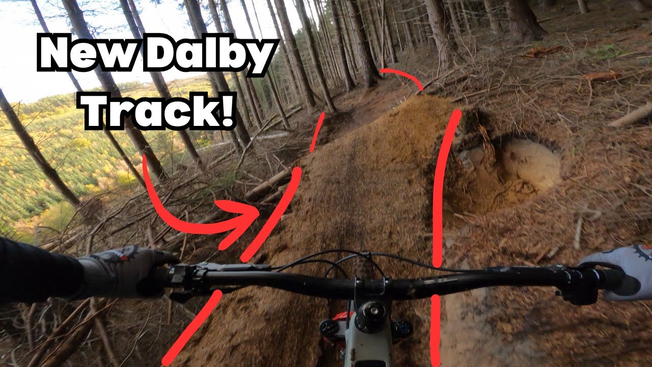 Dalby Forest Off-Piste Riding Never Fails!