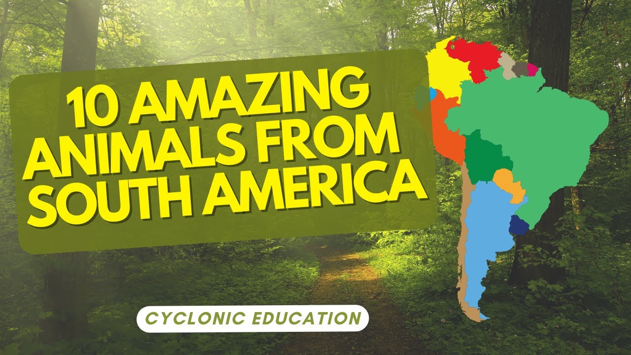 10 Amazing Animals From South America 🦁🌍  |  Cyclonic Education