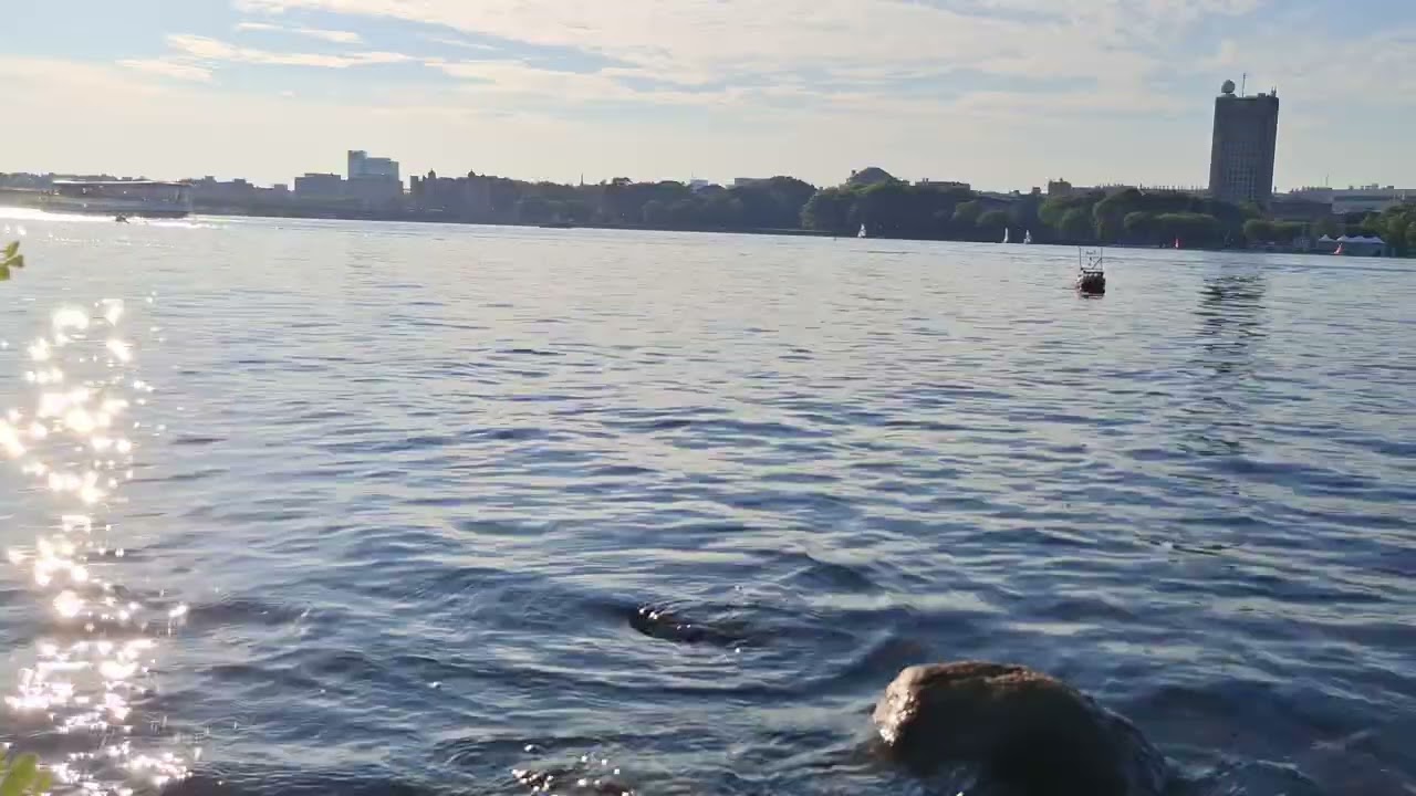 RC Boats on Charles River in Boston July 2025