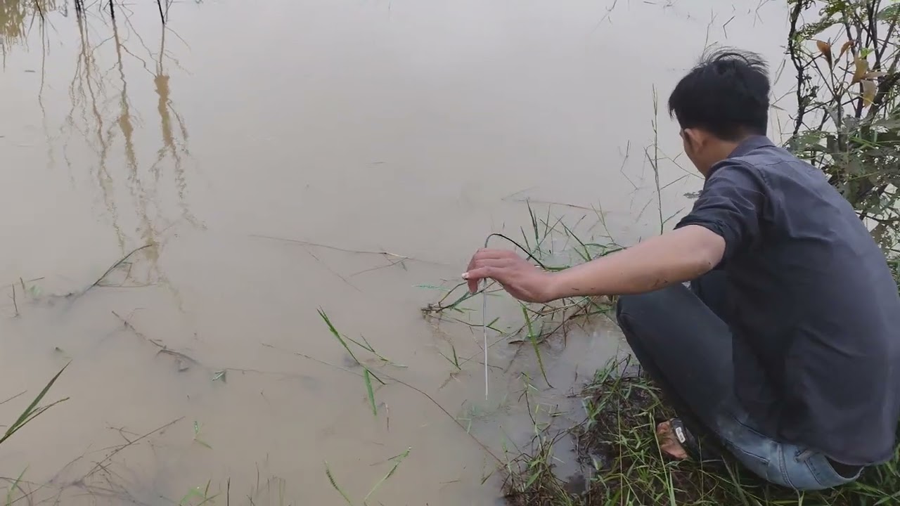 I put a lot of fish in this trap and it was very fun