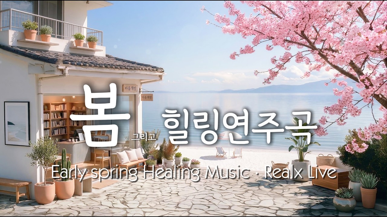 [🌸마음책방] 🌿 활기차게 열어가는 상쾌한 아침 음악 | 🔴Live Replay: Refreshing Energy & Morning Focus Music