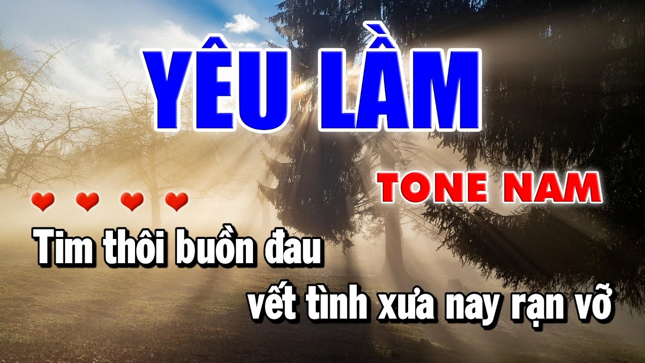 Yêu Lầm Lý Hải Karaoke Nhạc Hoa Lời Việt 8x 9x | Làng Hoa