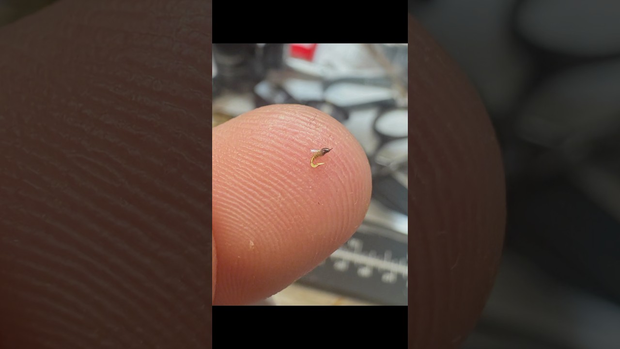 Smallest Hook AND THREAD EVER CREATED!