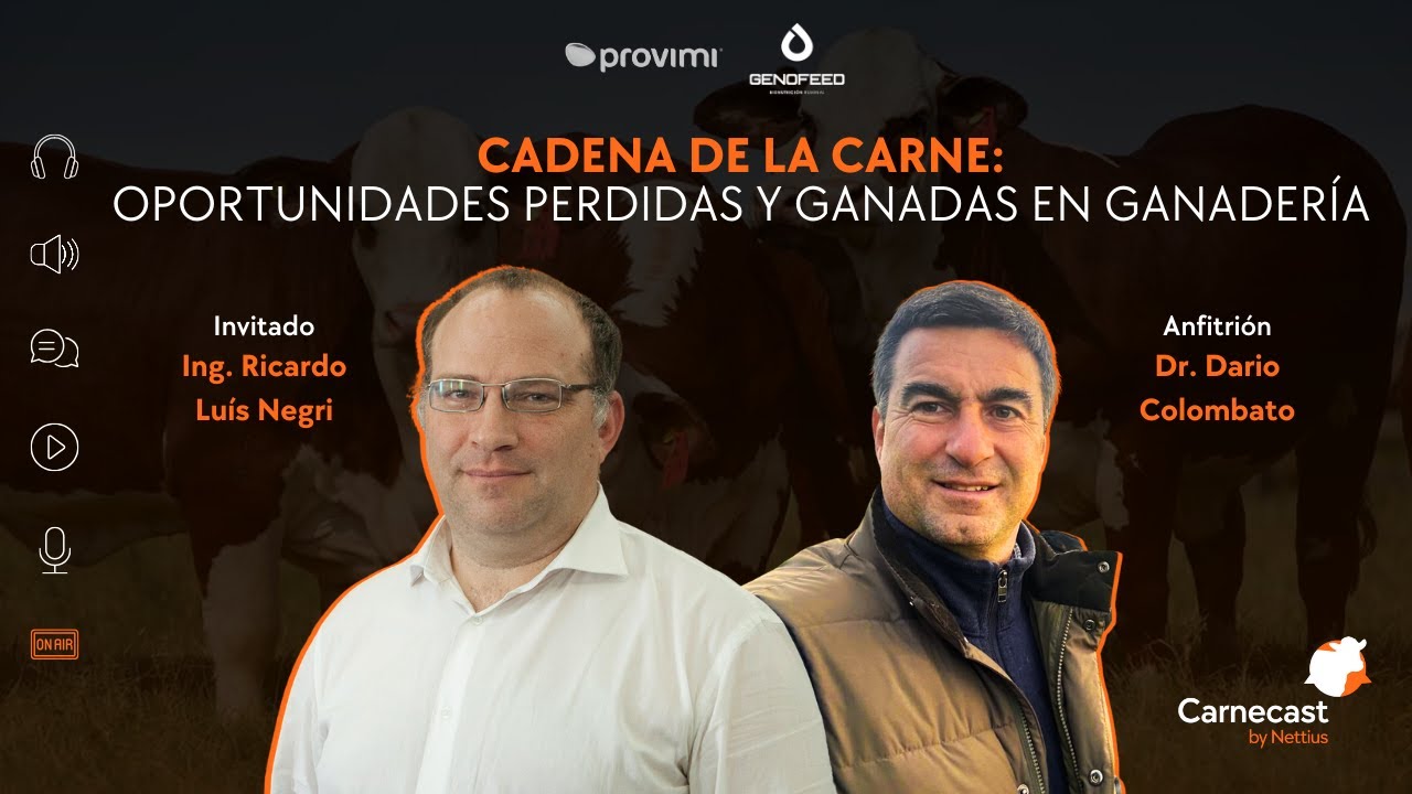 #33 - Cadena de la carne: oportunidades perdidas y ganadas en ganadería
