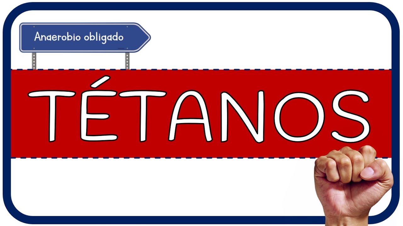 T&Eacute;TANOS - fisipatolog&iacute;a, microbiolog&iacute;a, s&iacute;ntomas, diagn&oacute;stico, tratamiento y preveci&oacute;n
