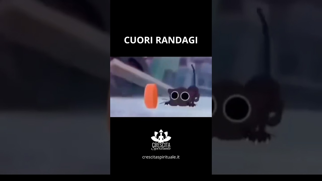 Cuori randagi
