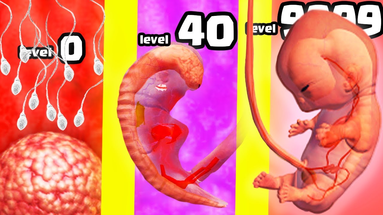 I birthed a MAX LEVEL BABY EVOLUTION in 9 Months