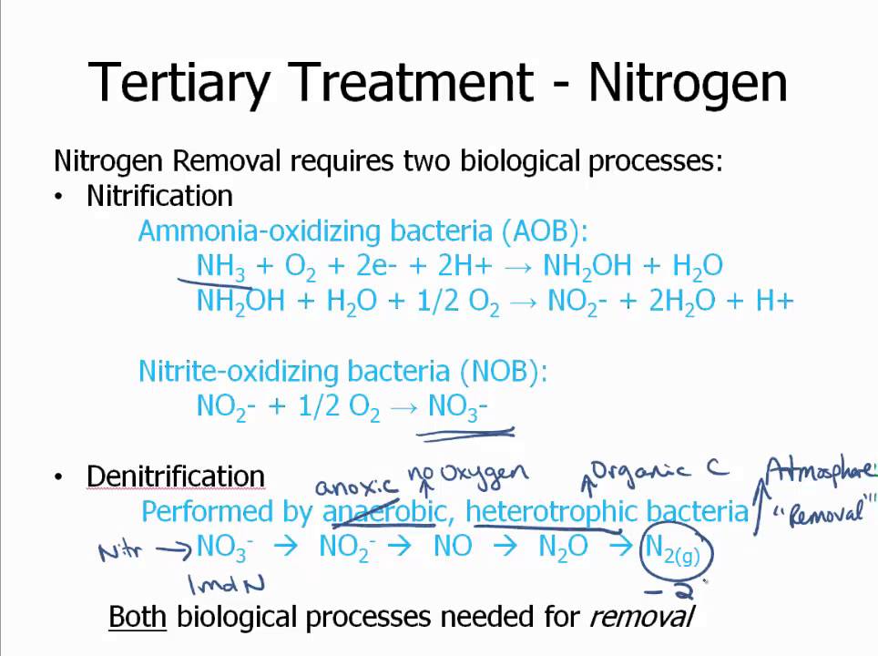 Wastewater Treatment - Nutrient Removal Intro
