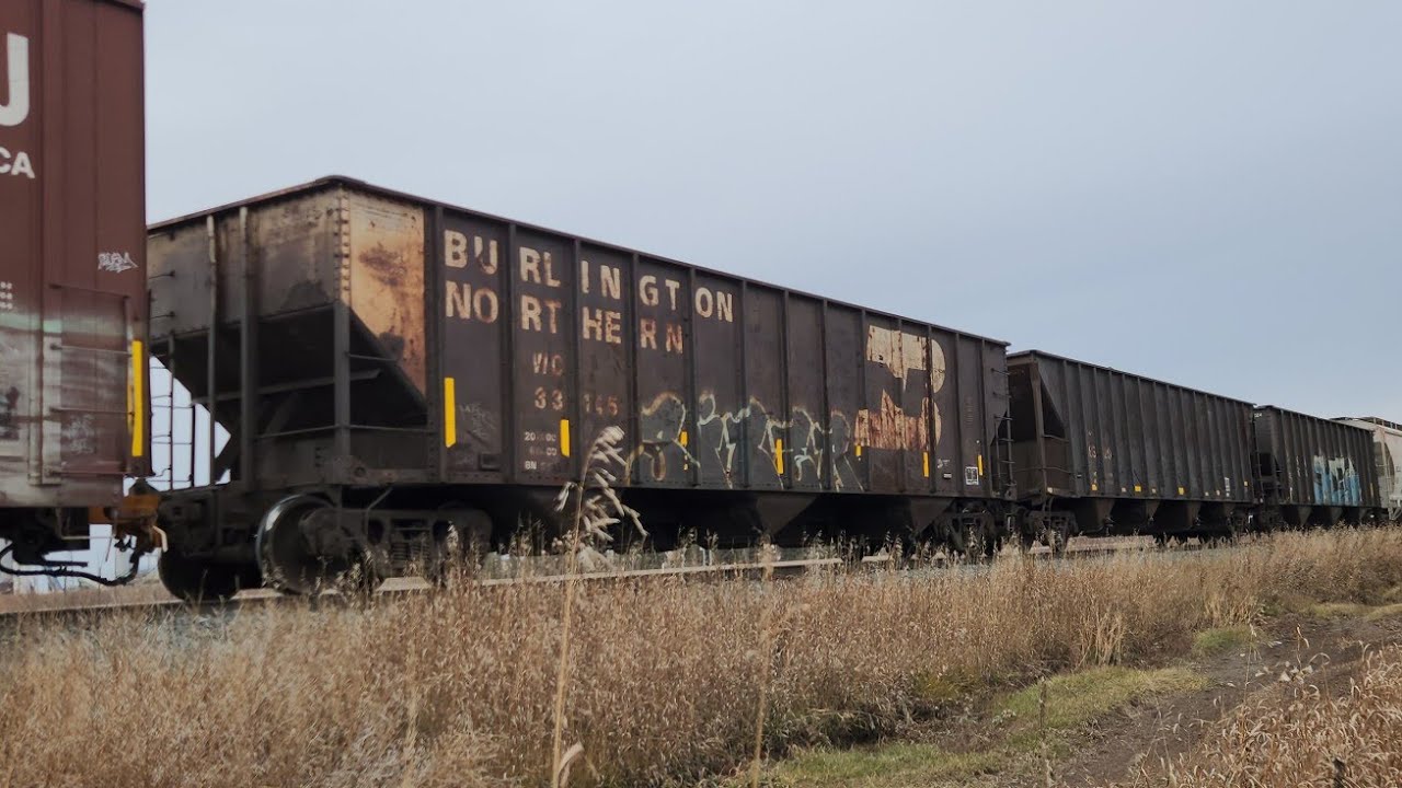 CN 3841 Leads a Southbound A459 w/ various maintenance cars (11/16/2025)