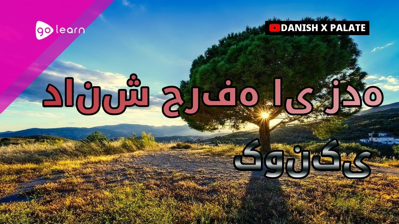 دانش حرفه ای زده کونکی |Golearn