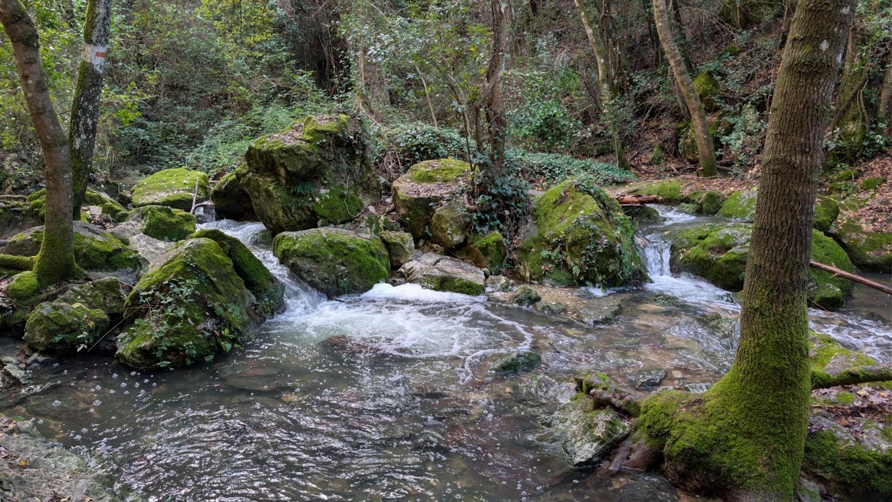 Nature Walk , The Encanaux valley, Auriol