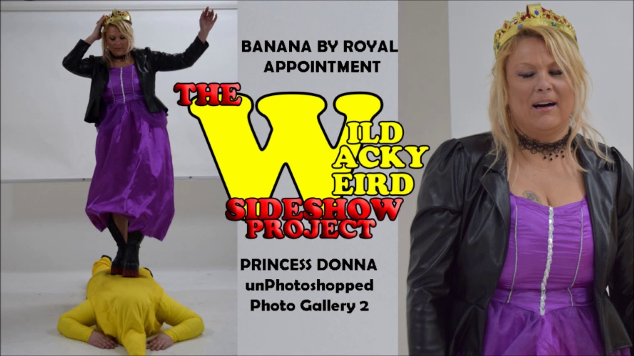 Princess Donna Gallery 2