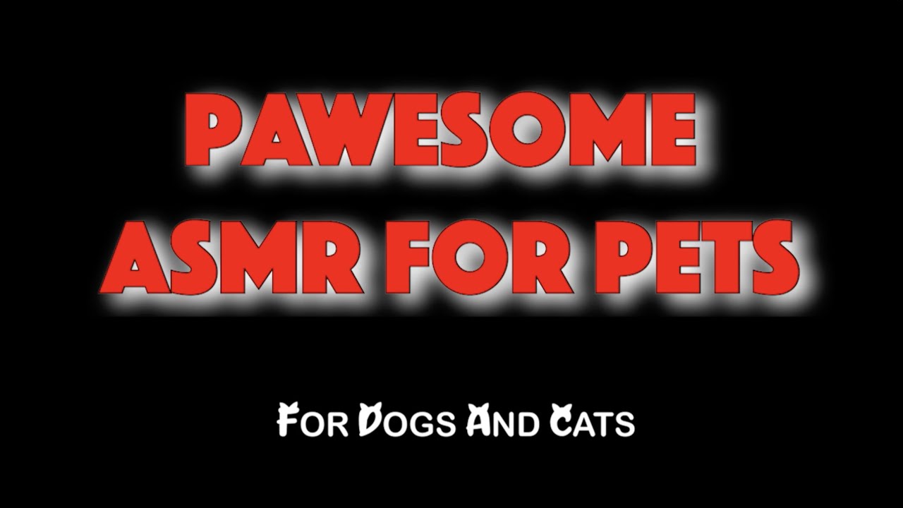 ASMR For Pets: Soothing Dogs and Cats