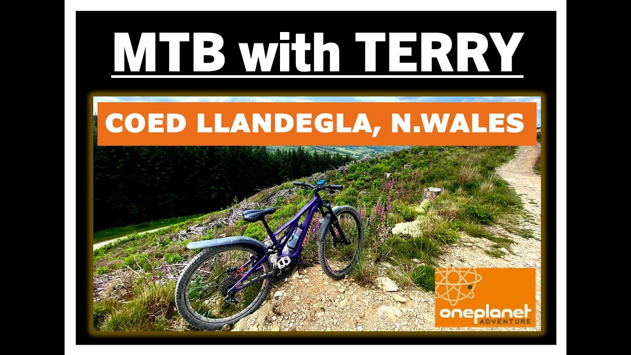 Coed Llandegla, North Wales (One Planet)