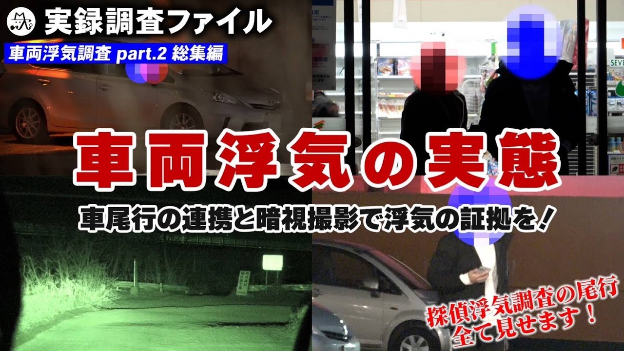 【探偵 浮気調査】車両浮気の実態　総集編【実録調査ファイル】