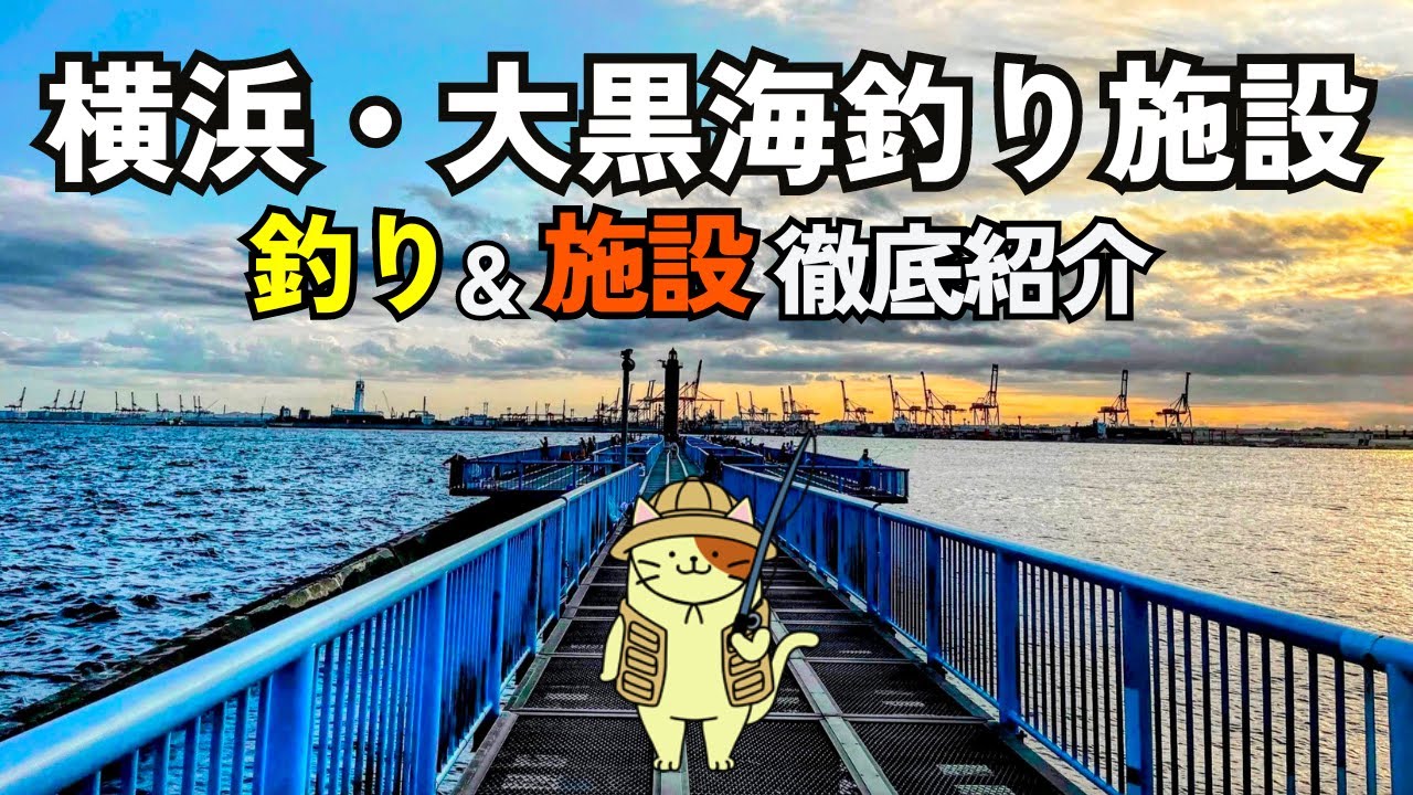 初めての「横浜・大黒海釣り施設」徹底入門｜アクセス、予約方法、釣果はまさかの・・