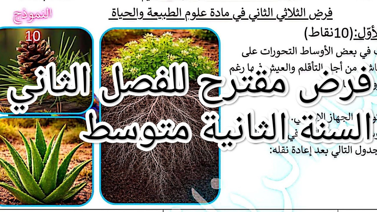 #فرض مقترح للفصل الثاني #تحضيرا للفرض #السنة الثانية متوسط 