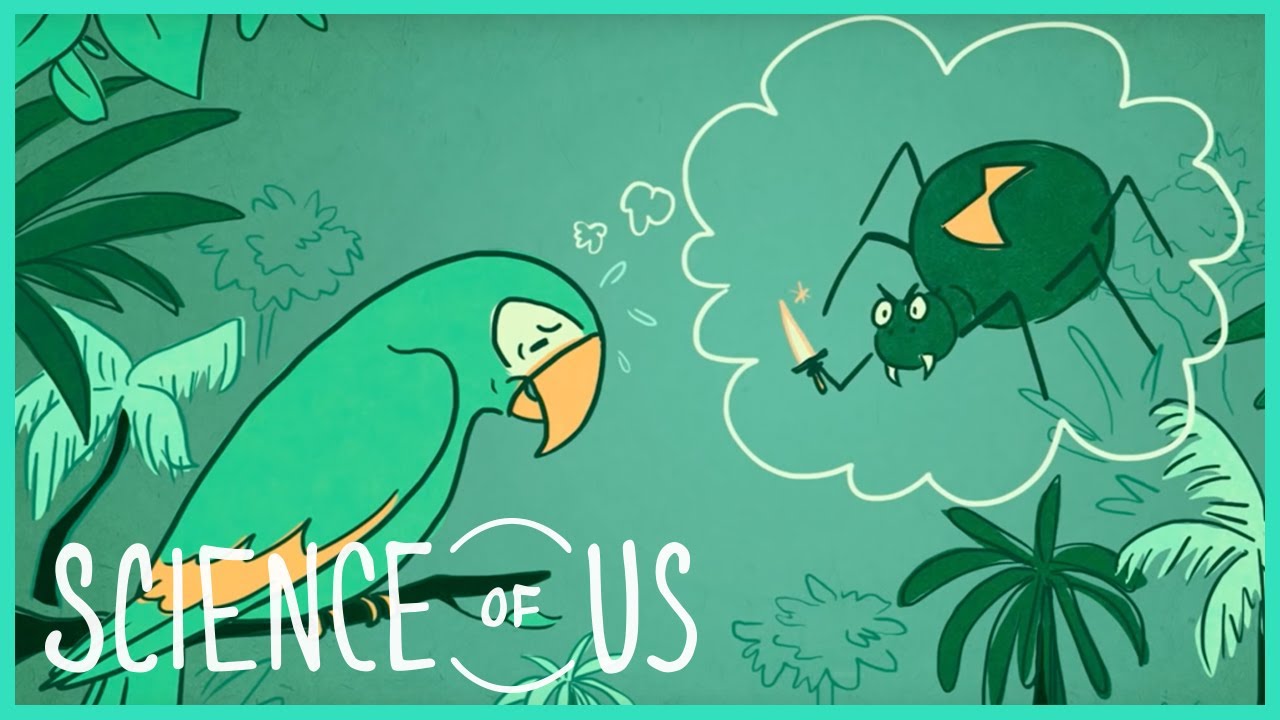 How to Sound Smart When You Feel Dumb: 