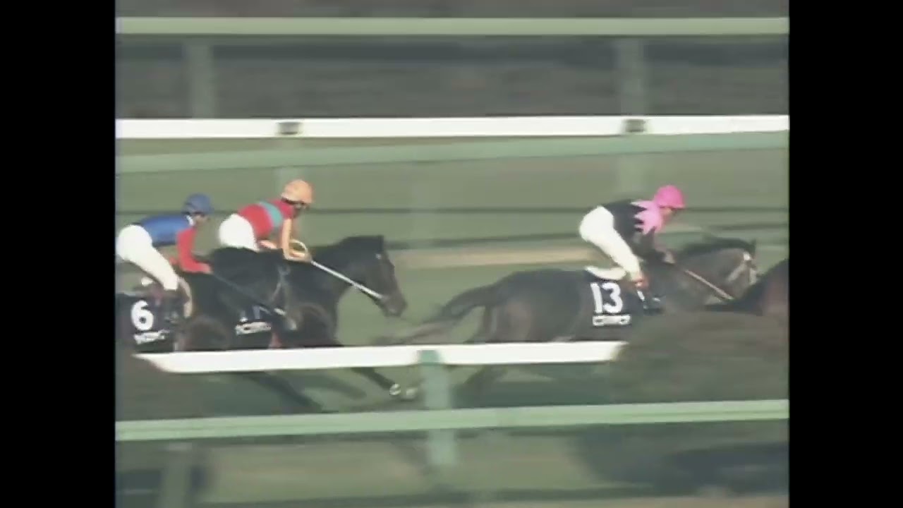 Tokai Teio's 1993 Arima Kinen with BGM