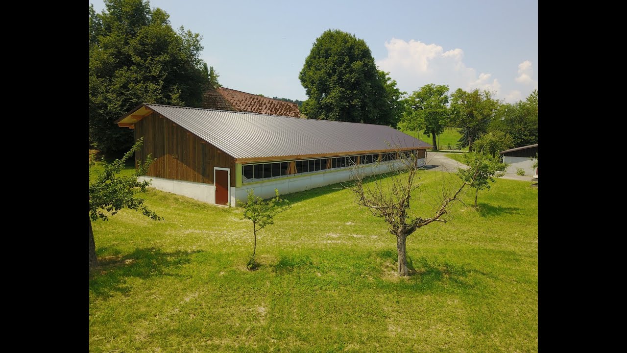 Moderner Schweinestall in der Schweiz - Schmitz Peter, Tierwohl Zuchtstall im Aussenklima