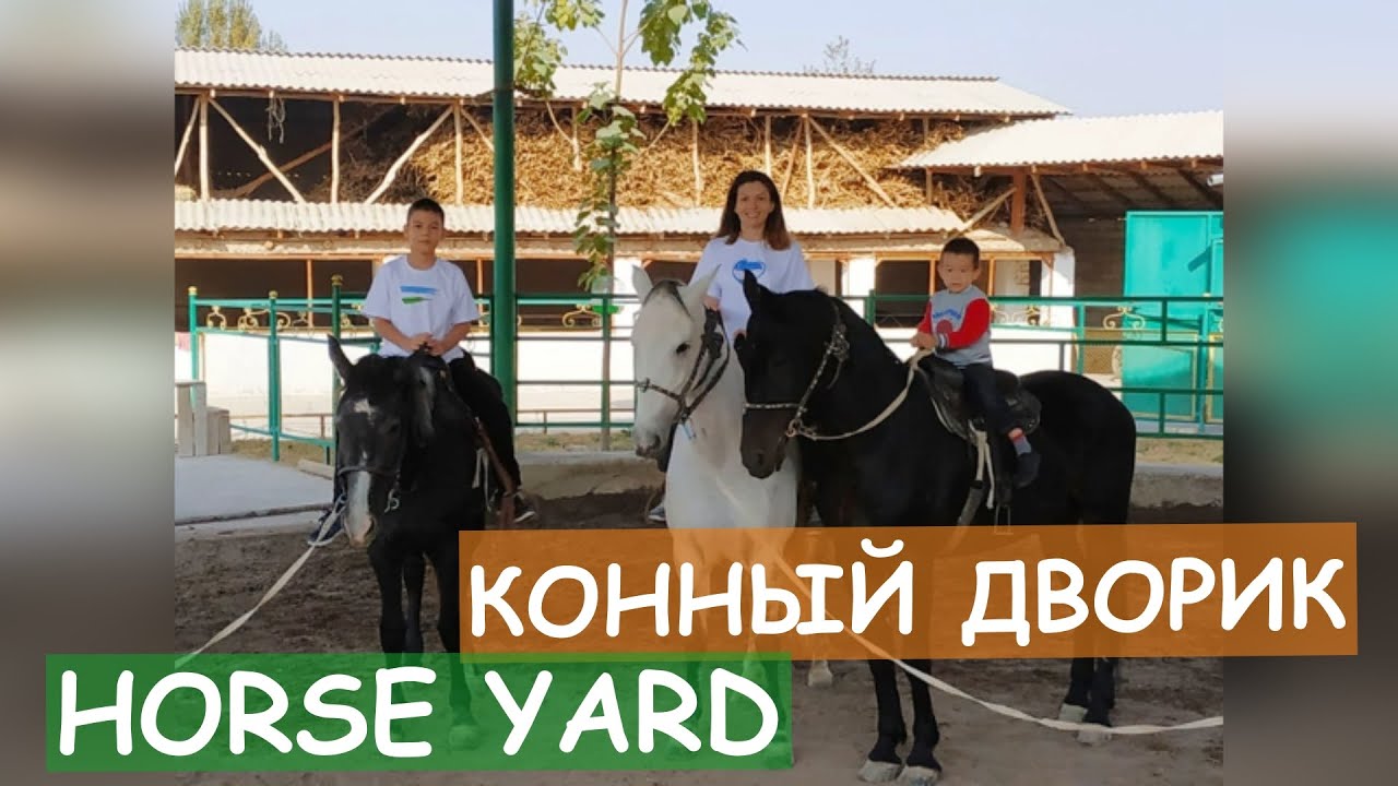 КОННЫЙ ДВОРИК. ЯНГИБАЗАР! - HORSE  YARD! YANGIBAZAR!