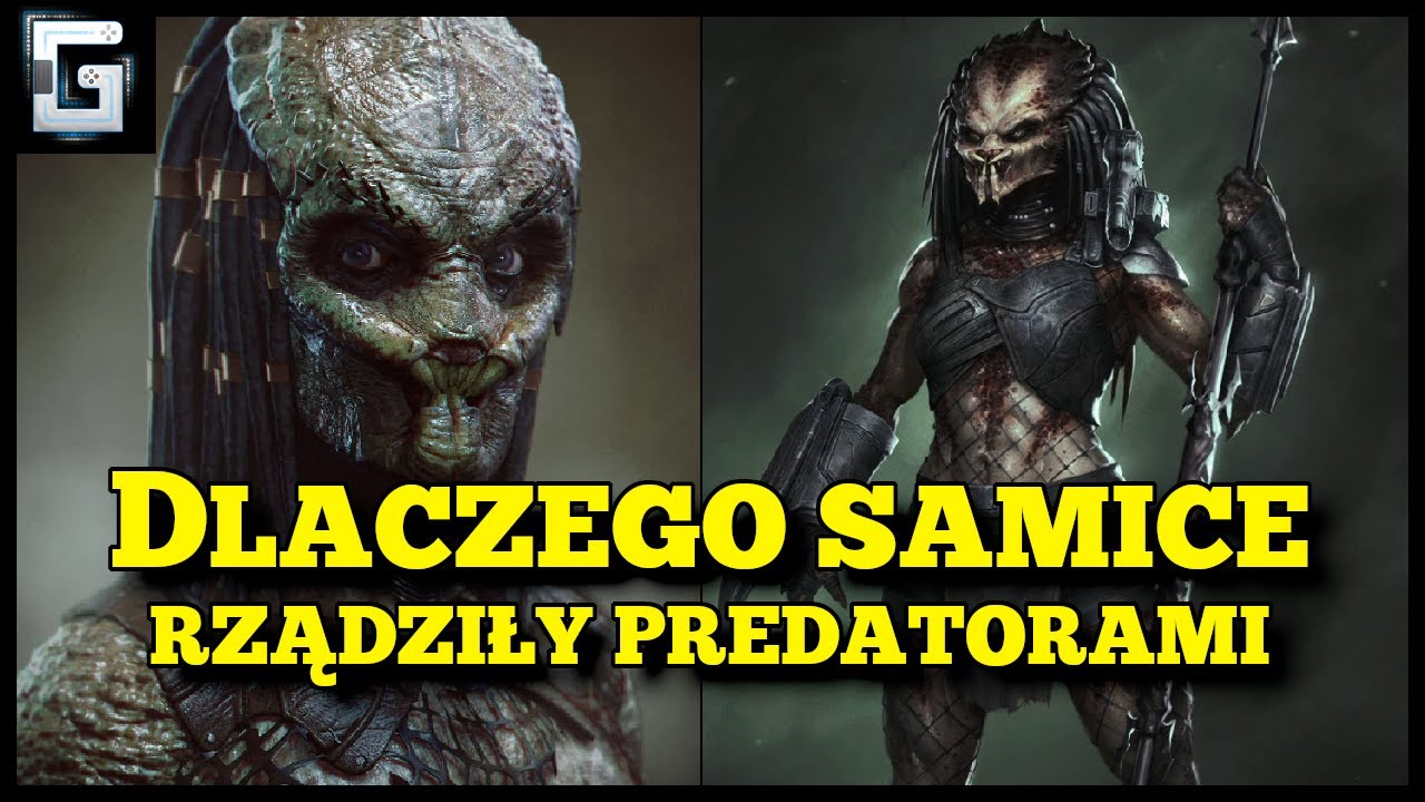 Dlaczego Samice rządziły Predatorami?