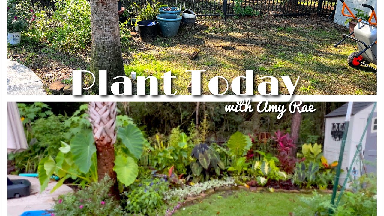 Tropical Landscaping- Flower Bed Start to Finish + 3 month update