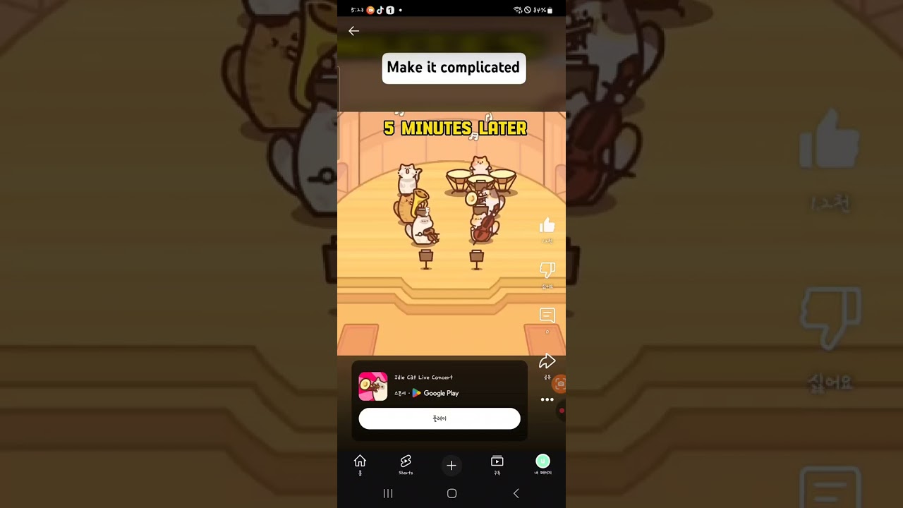 Idle Cat Live Concert Ads Found 2