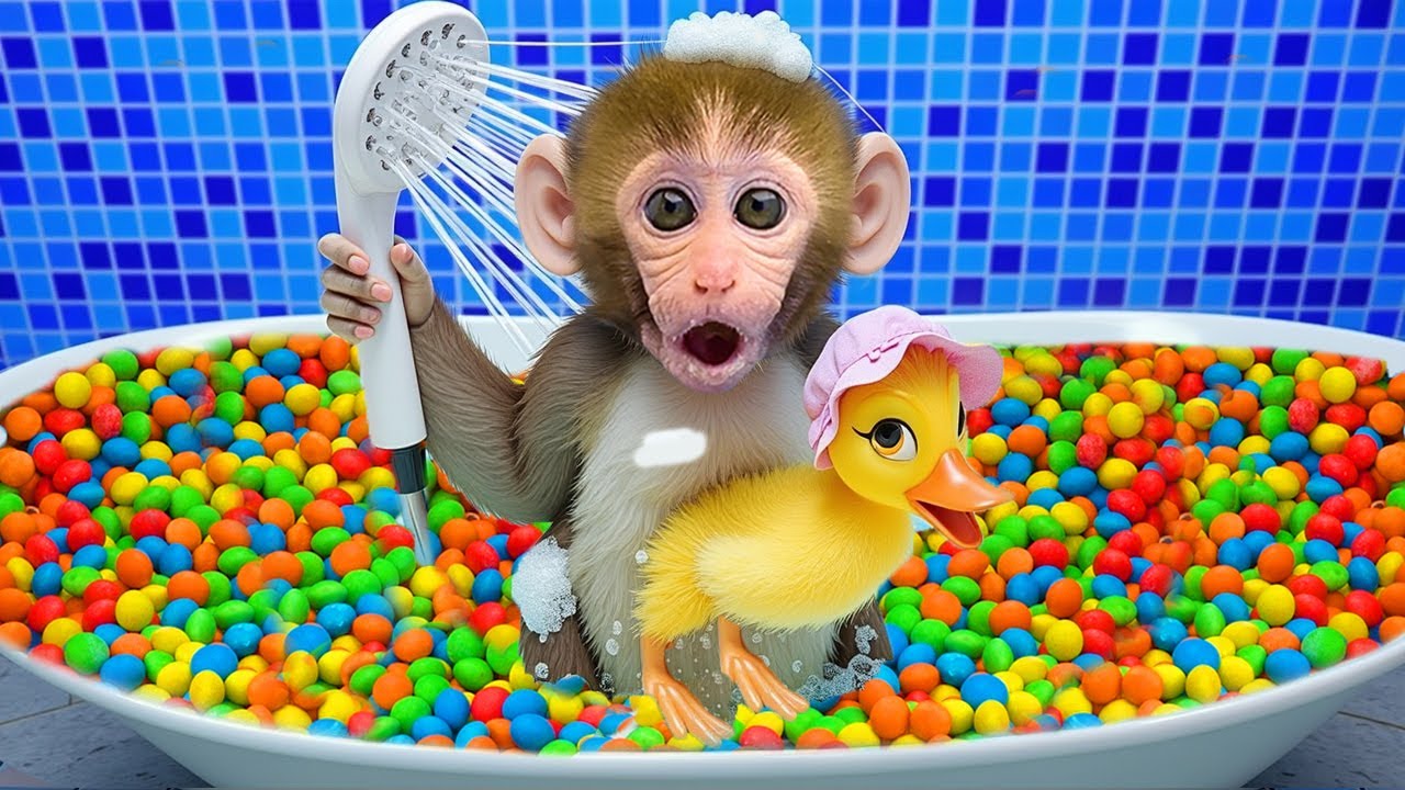 小猴子 Gogo 被小鴨嚇到了 🛁🦆😲| Gogo Monkey Life