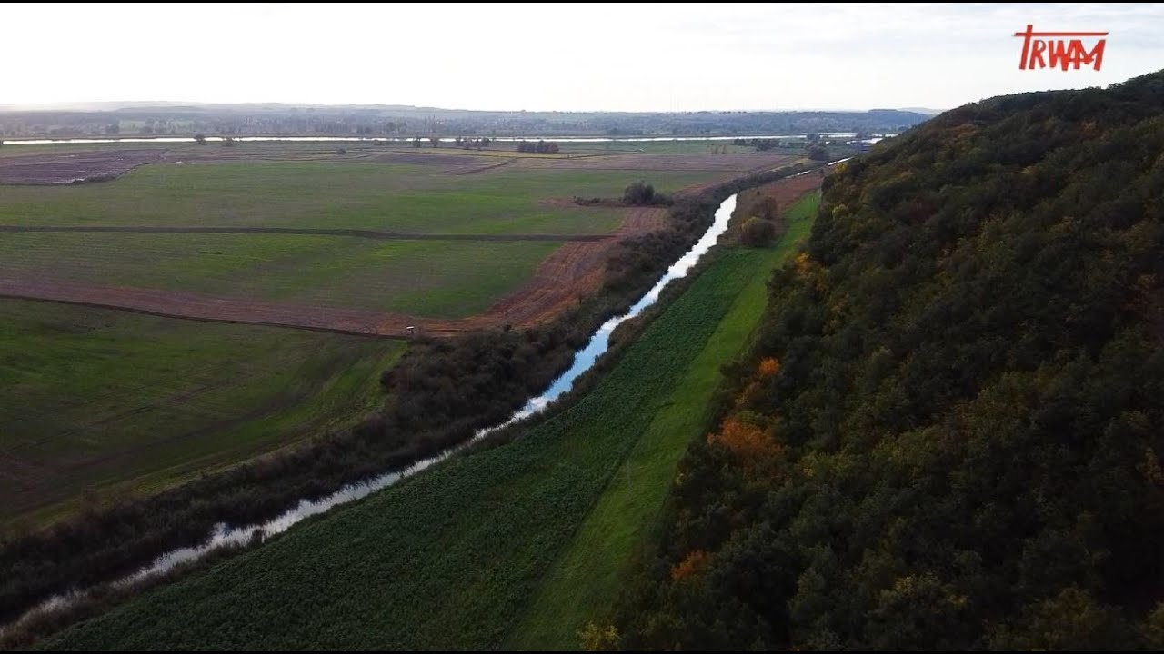 Natura obiektywnie: Rezerwat Bielinek