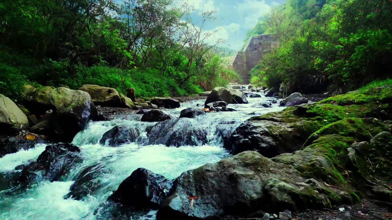Emotional River Water Flow for Mind Healing, Sleep and Calm Recovery
