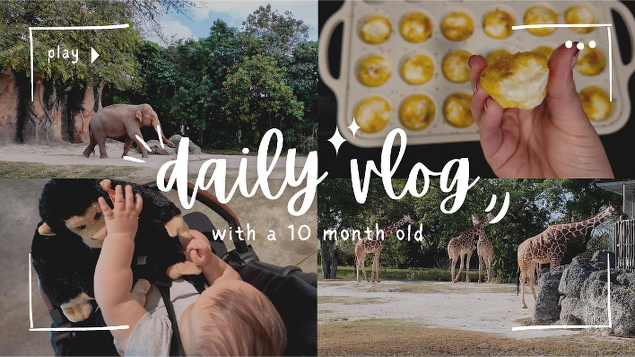 Day in a life as a first time mom w/ my 10 month old