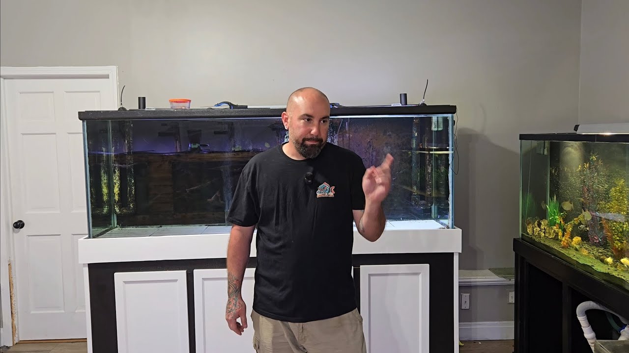 FEEDING ALL MY FISH TANKS...And the monster pond